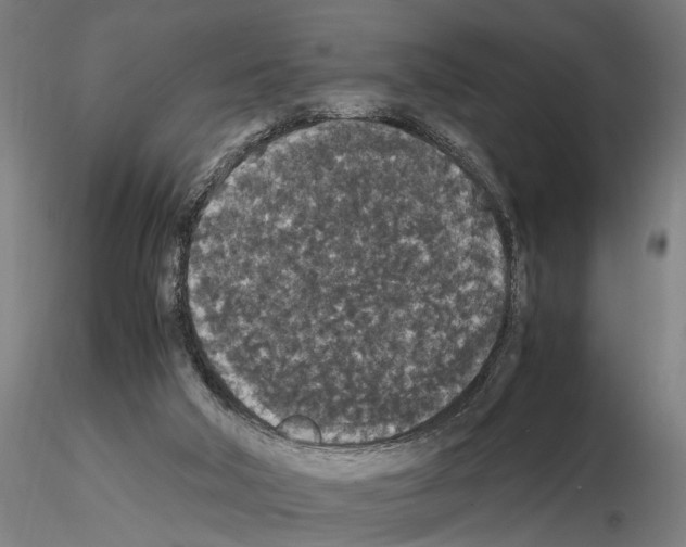 X0000114660018200912011146