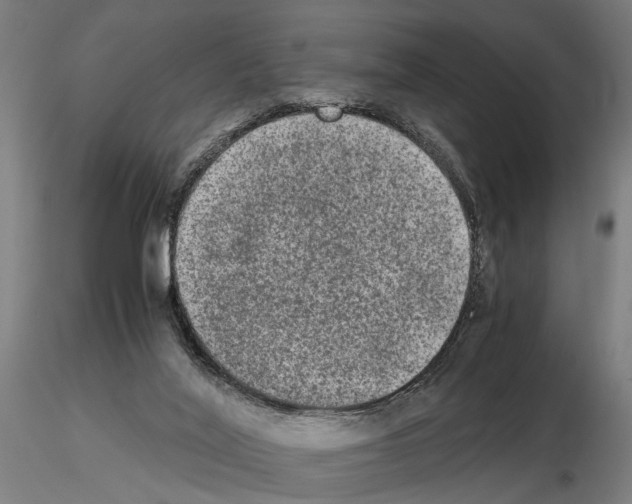 X0000114660020200912011146