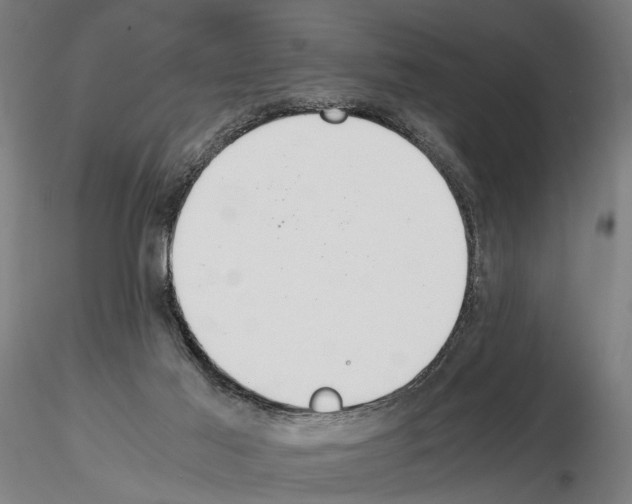X0000114660021200912011146