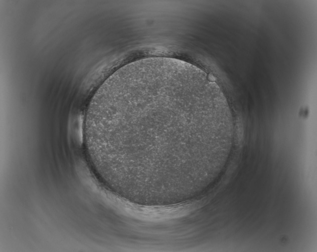 X0000114660022200912011146