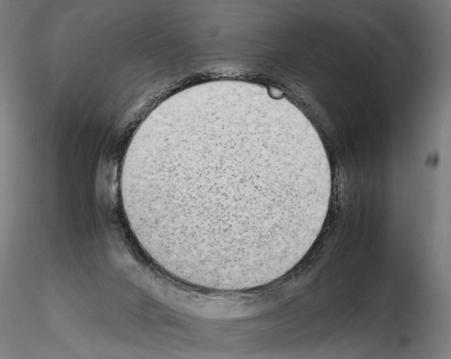 X0000114660024200912011146