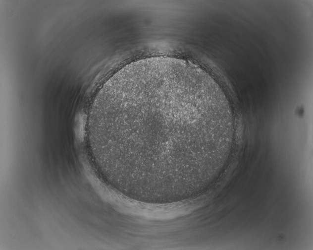 X0000114660026200912011146