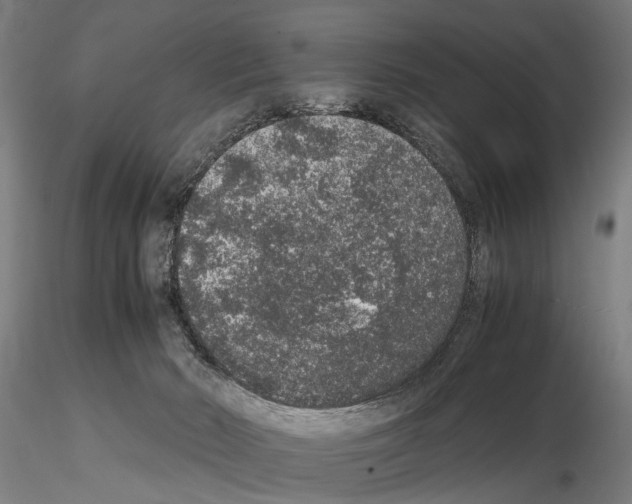 X0000114660030200912011146