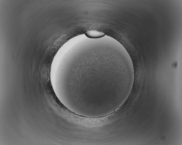 X0000114660031200912011146