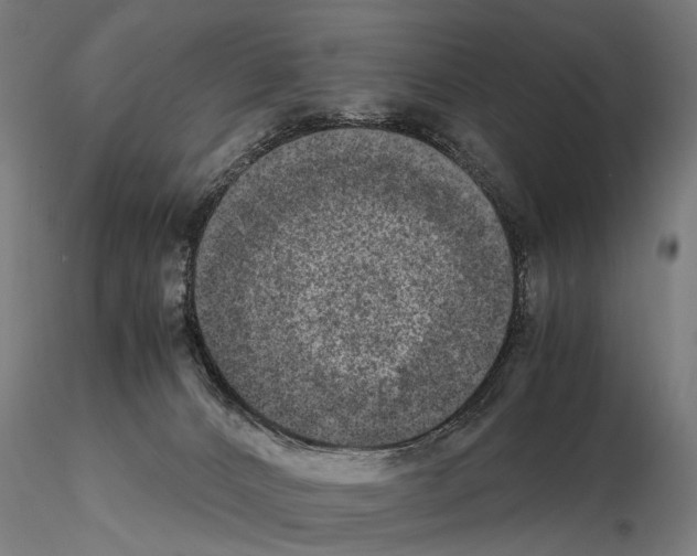 X0000114660032200912011146
