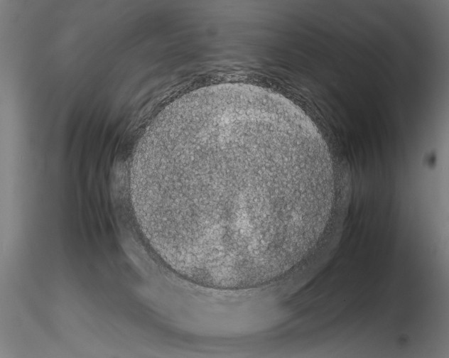 X0000114660034200912011146