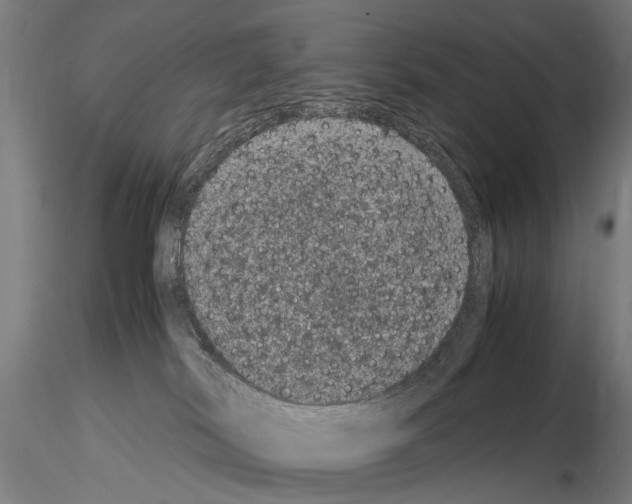 X0000114660038200912011146