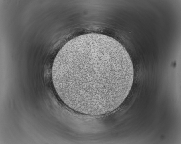 X0000114660040200912011146