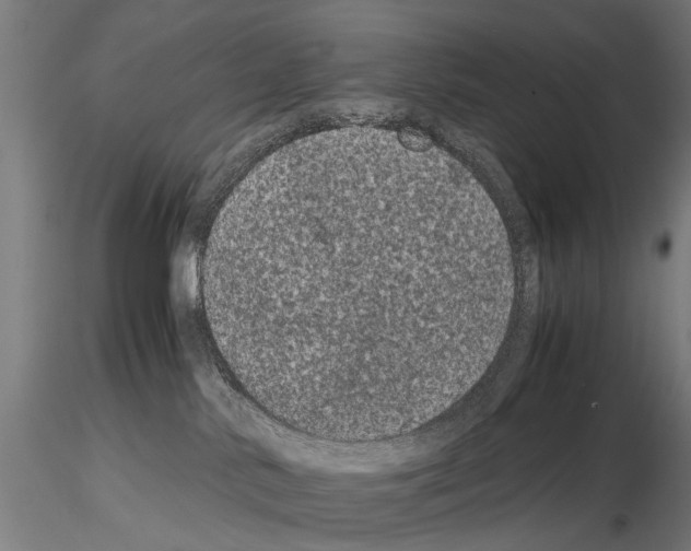 X0000114660042200912011146
