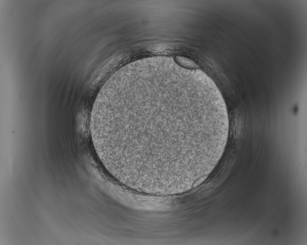 X0000114660044200912011146