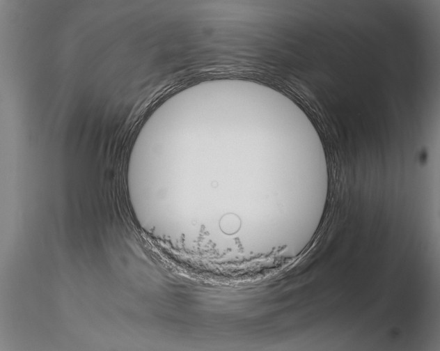 X0000114660045200912011146