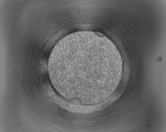 X0000114660048200912011146