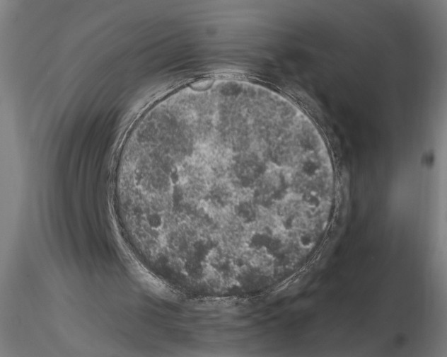 X0000114660049200912011145