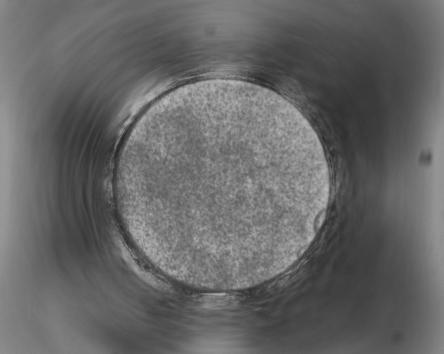 X0000114660050200912011145