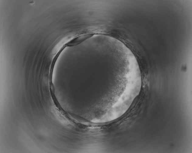 X0000114660052200912011145