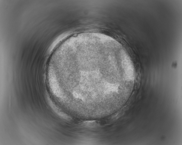 X0000114660054200912011145