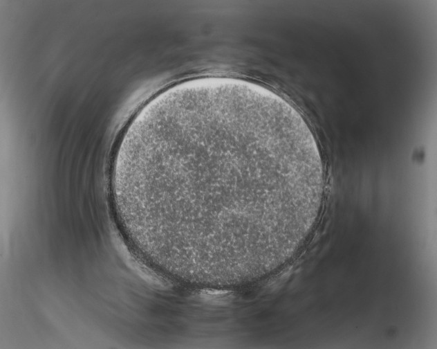 X0000114660055200912011145