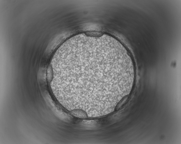 X0000114660057200912011145