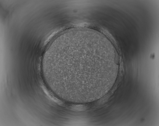 X0000114660058200912011145