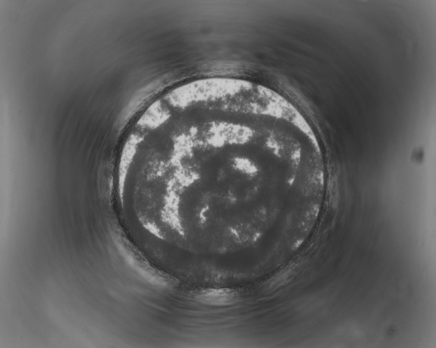 X0000114660059200912011145