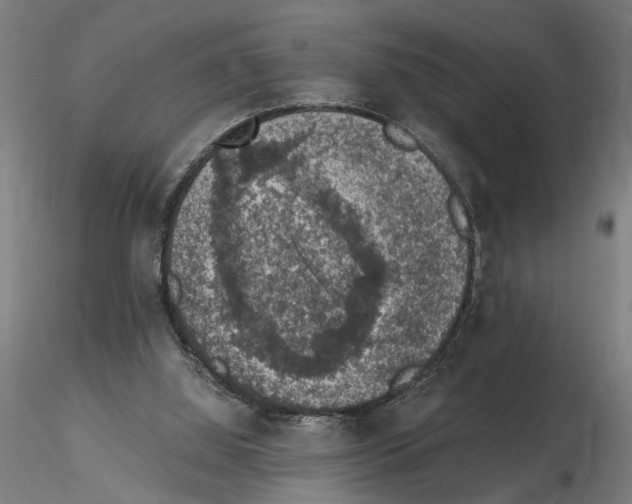 X0000114660060200912011145