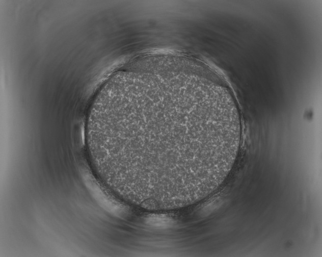 X0000114660061200912011145