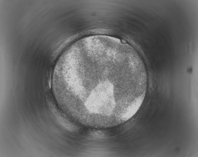 X0000114660062200912011145