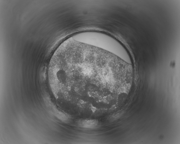 X0000114660063200912011145