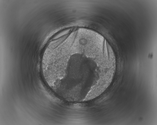 X0000114660064200912011145