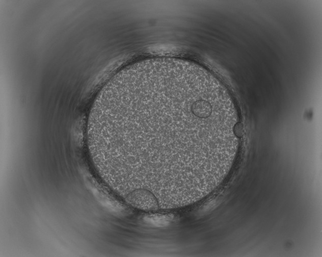 X0000114660065200912011145