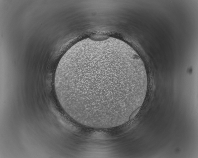 X0000114660066200912011145