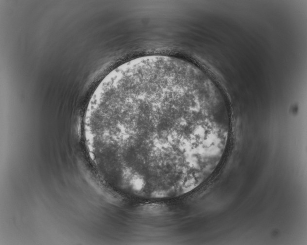 X0000114660067200912011145