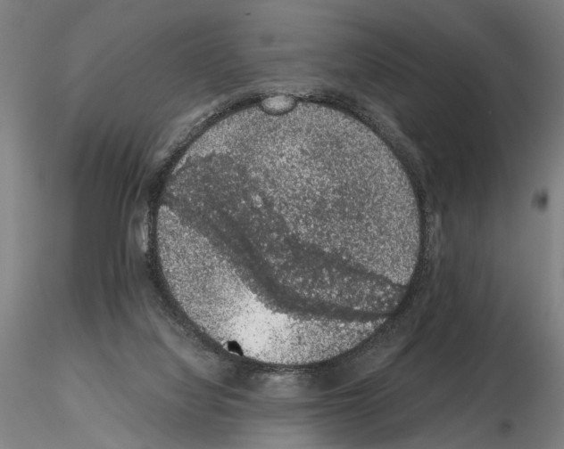 X0000114660068200912011145