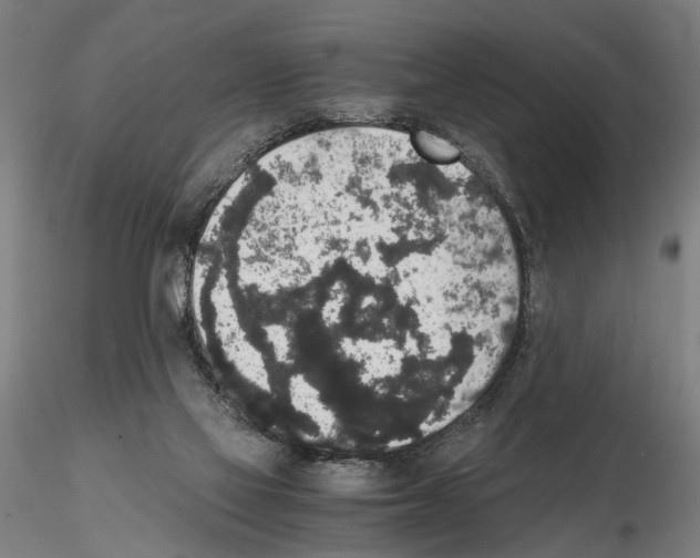 X0000114660069200912011145