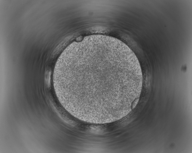 X0000114660070200912011145