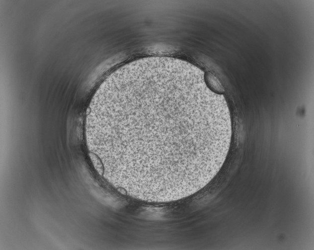 X0000114660071200912011145