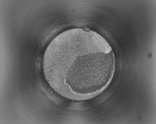 X0000114660072200912011145