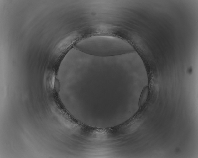 X0000114660076200912011145