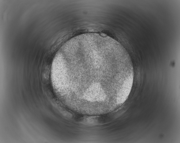 X0000114660078200912011145