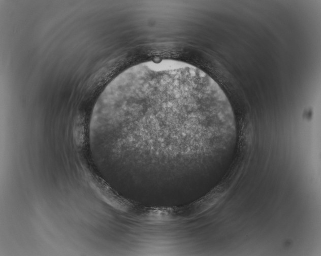 X0000114660080200912011145