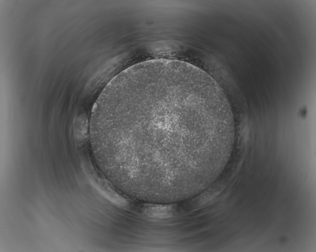 X0000114660081200912011146