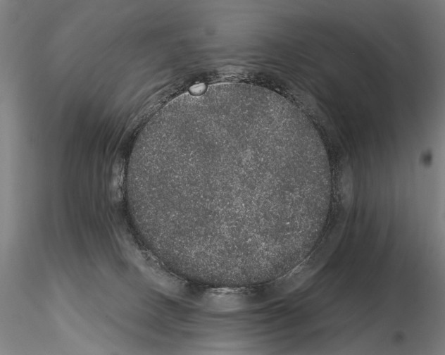 X0000114660082200912011146