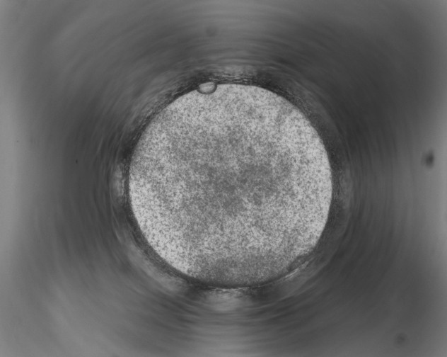 X0000114660086200912011146
