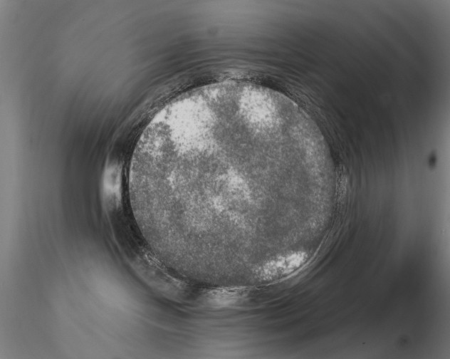 X0000114660094200912011146