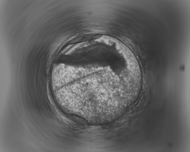 X0000114660097200912011145