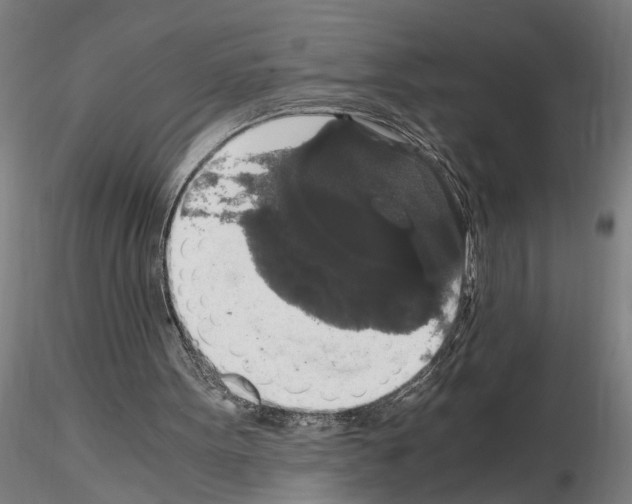 X0000114660099200912011145