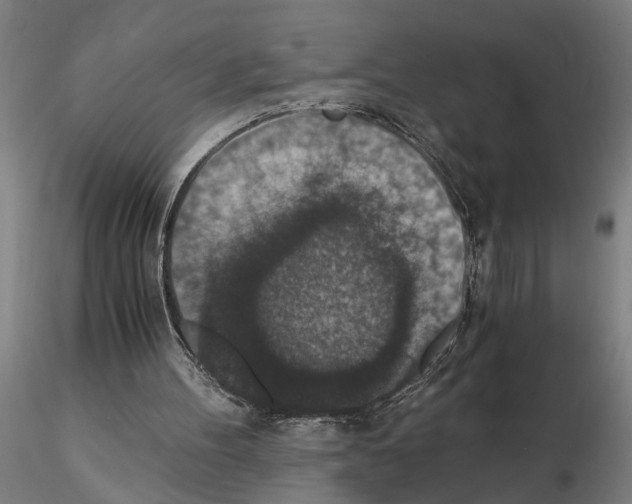 X0000114660100200912011145