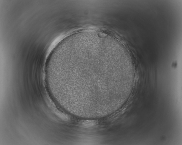 X0000114660102200912011145