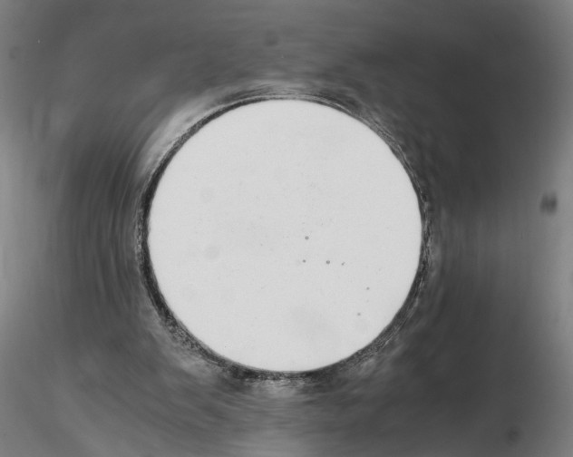 X0000114660103200912011145