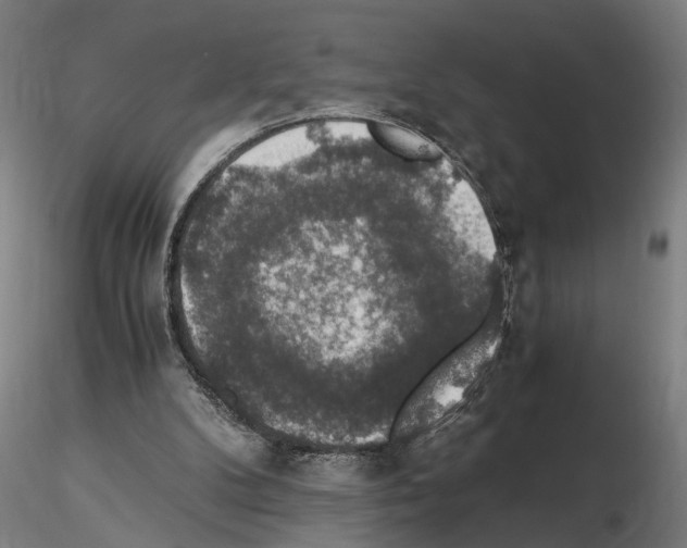 X0000114660104200912011145